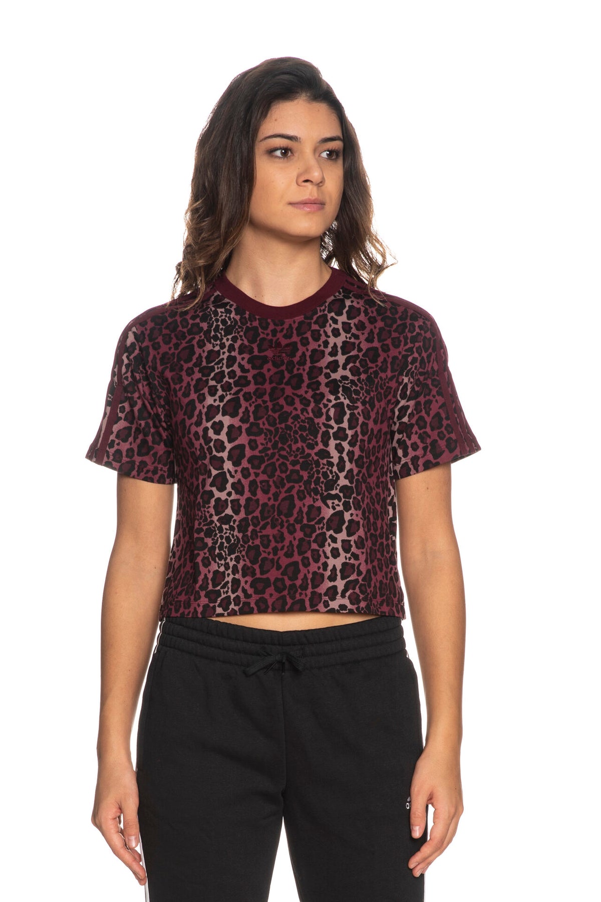 ADIDAS ORIGINALS - Crop Art T-shirt HK5183